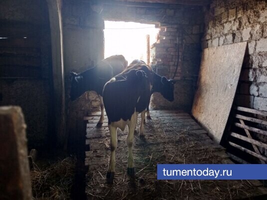 Фото Михаила Кривощекова