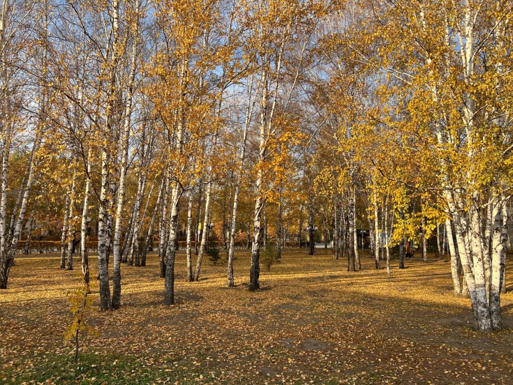 Фото Сергея Куликова