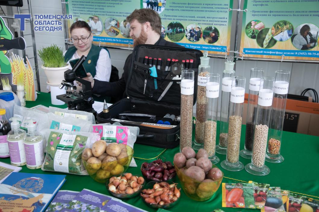 Фото Сергея Куликова