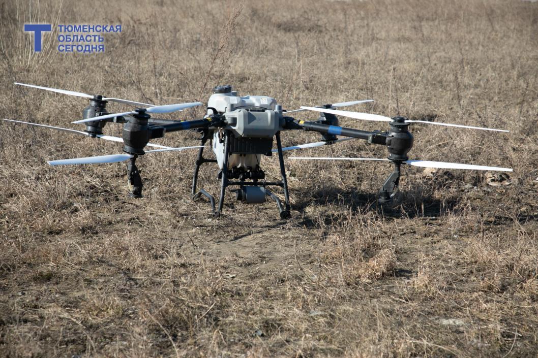 Фото Сергея Куликова