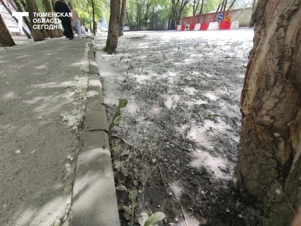 Фото Евгении Ноговициной