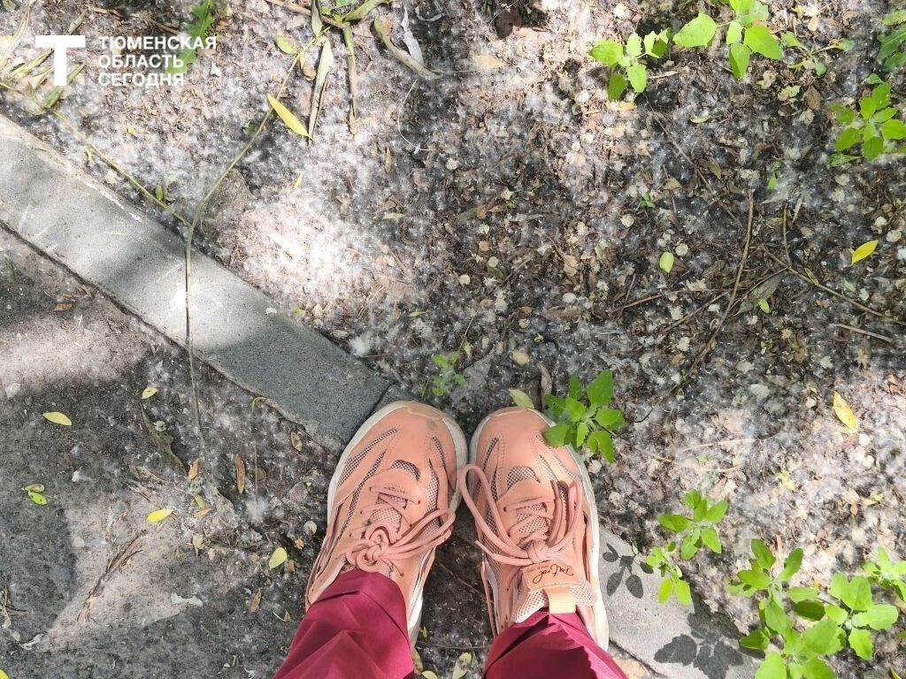 Фото Евгении Ноговициной