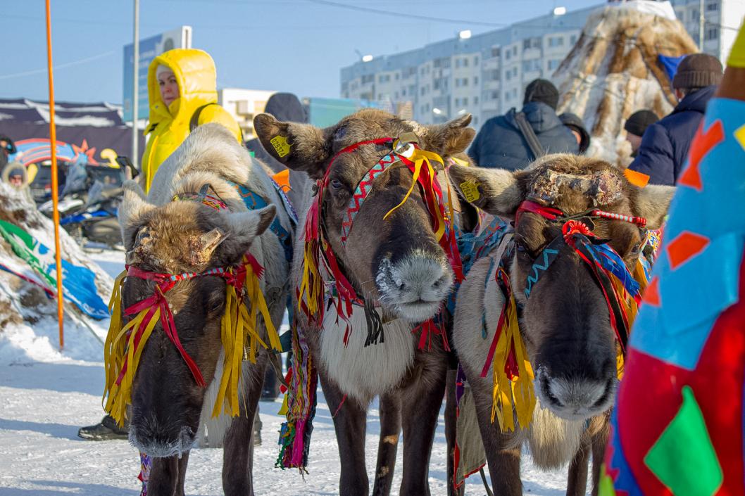 Фото Сергея Мжельского