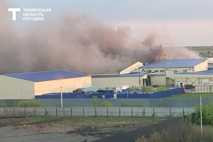 Фото читателей, «Тюменская область сегодня»