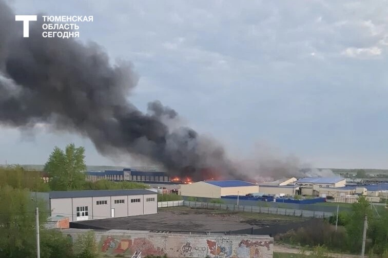 Фото читателей, «Тюменская область сегодня»