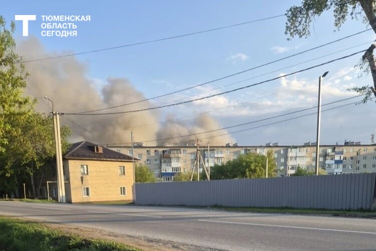 Фото читателей, «Тюменская область сегодня»