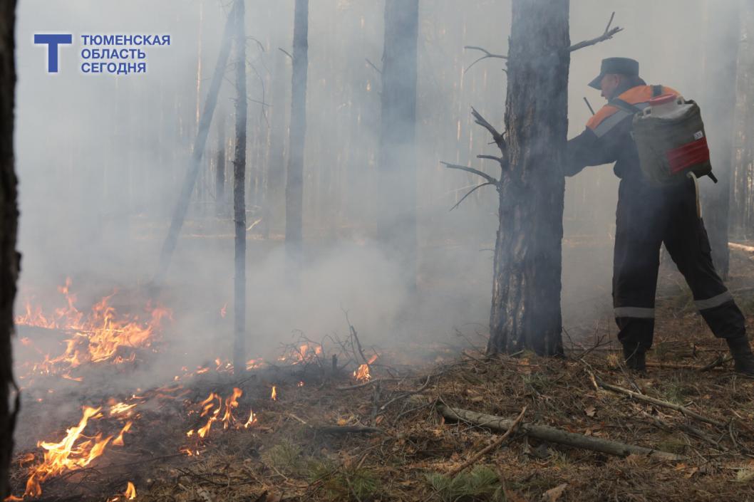 Пожароопасный сезон в Тюменской области объявят 6 апреля