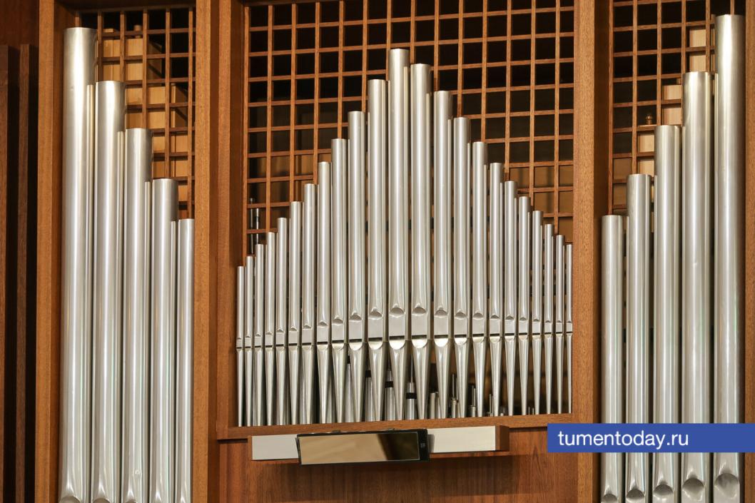 Фото Дениса Моргунова