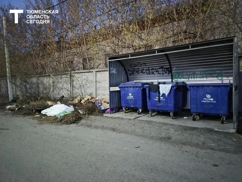 Фото читателя, «Тюменская область сегодня»
