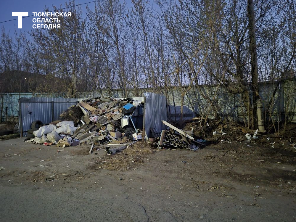 Фото читателя, «Тюменская область сегодня»