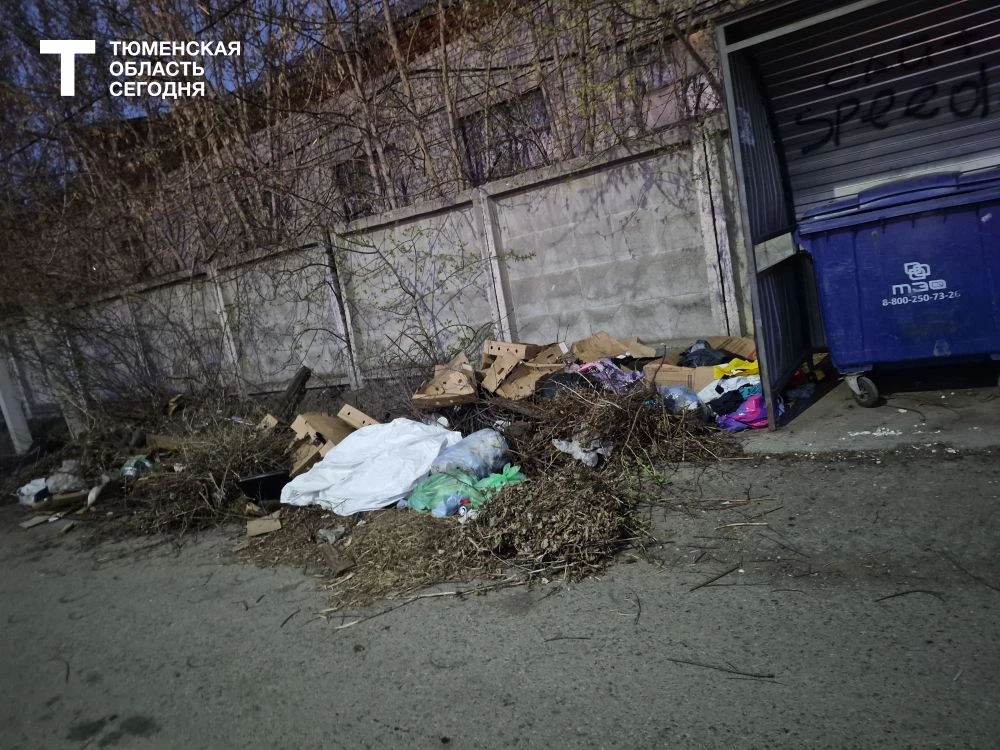 Фото читателя, «Тюменская область сегодня»