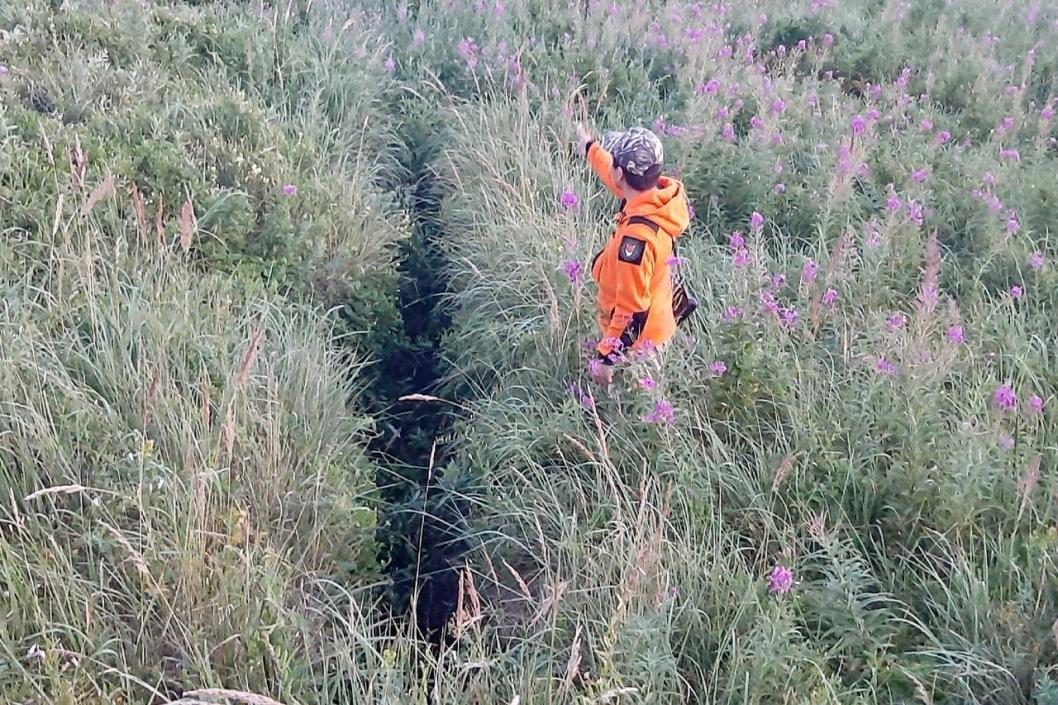 Фото сообщества «Поисковый отряд «ЛизаАлерт» Тюменской области» в социальной сети «ВКонтакте»; автор неизвестен