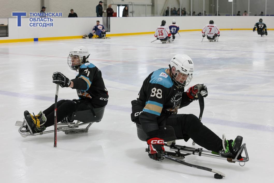 Фото Дениса Моргунова