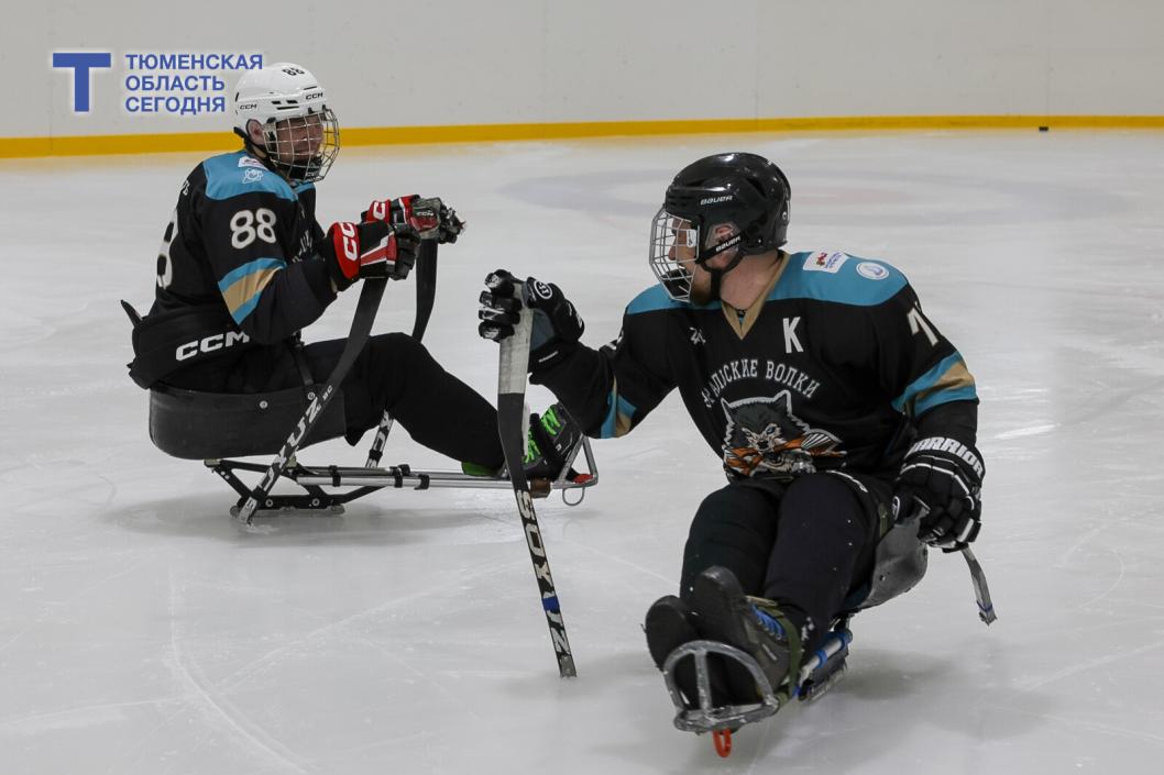 Фото Дениса Моргунова