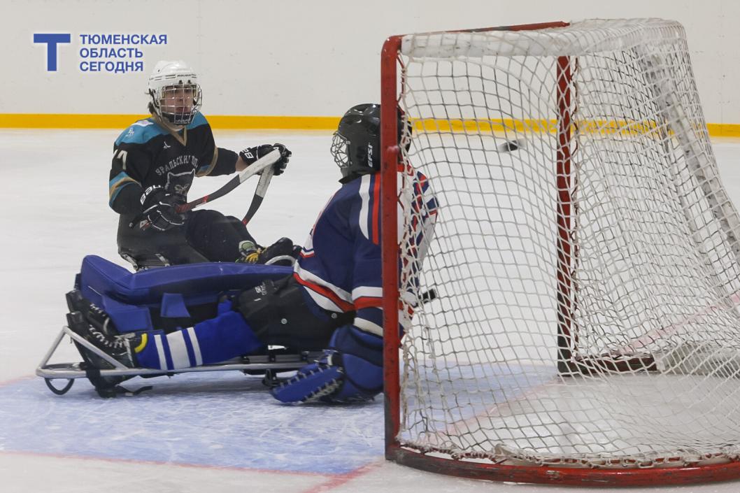 Фото Дениса Моргунова