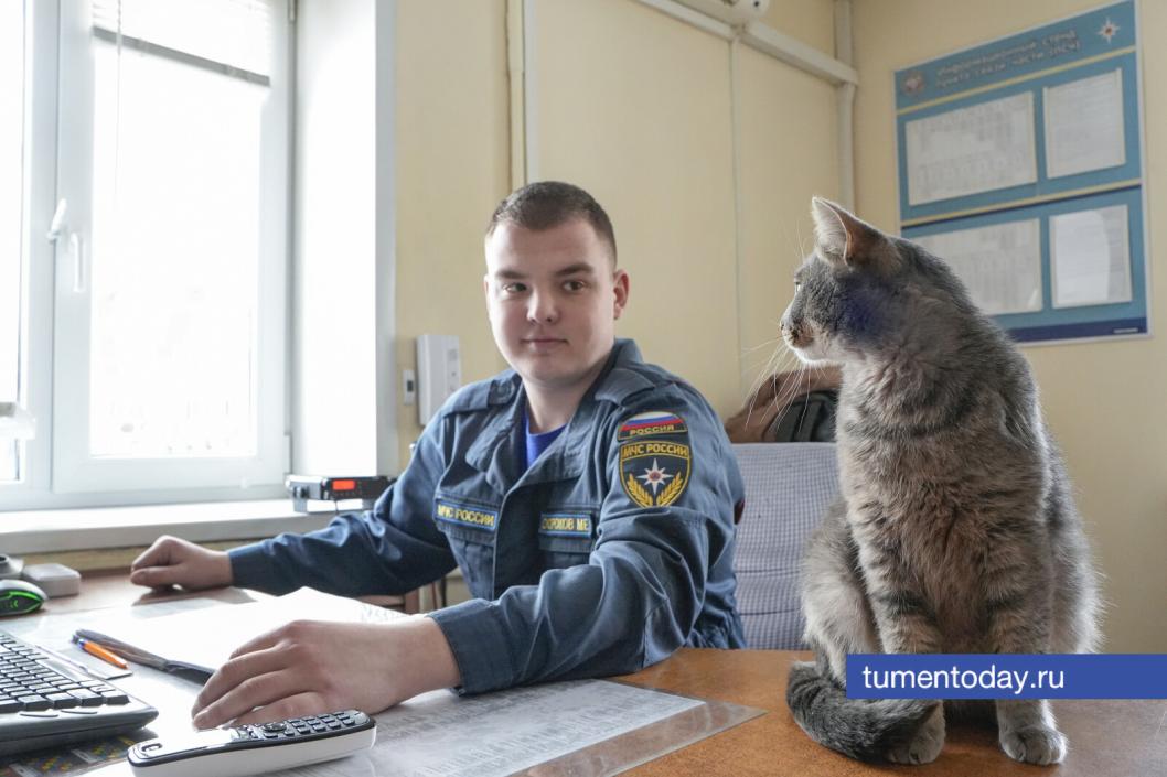Хвостатый персонал: где в Тюмени у кошек есть настоящие должности? Спецрепортаж