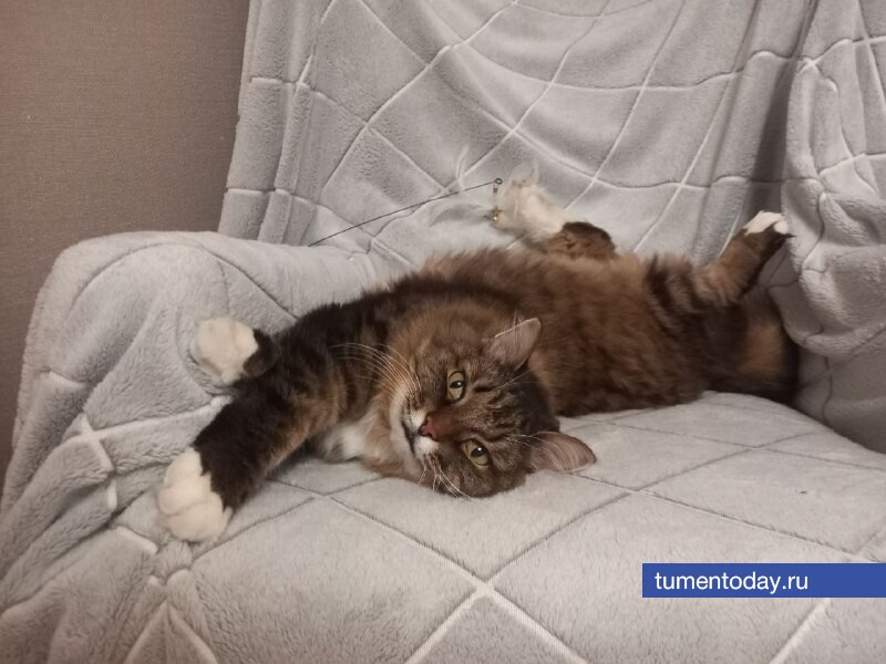 Фото Елены Ковалевой