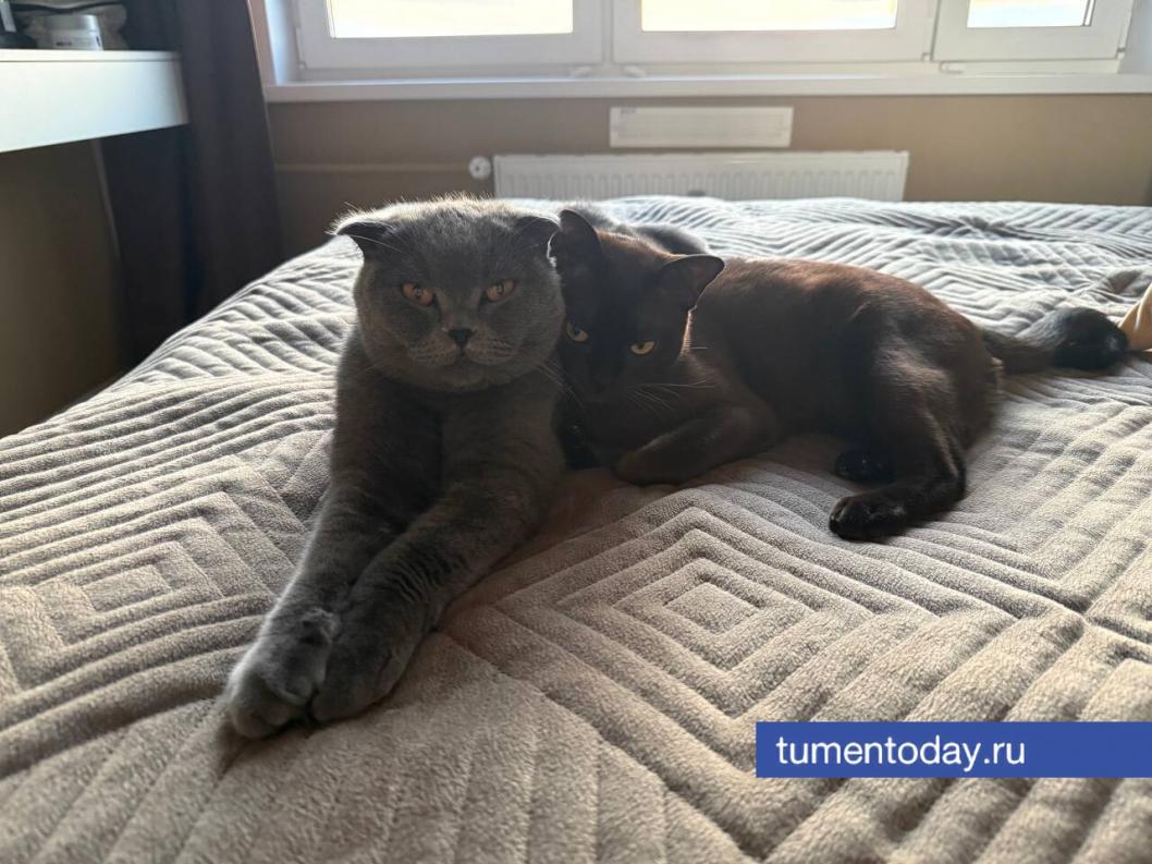 Фото Юлии Комнатовой 