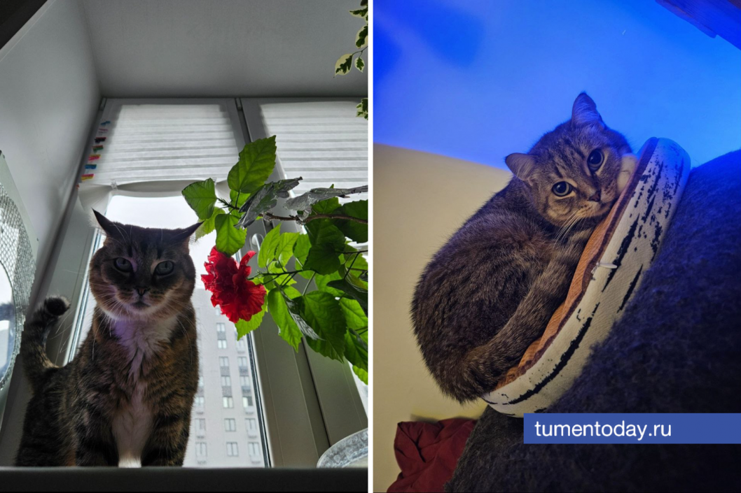 Фото Артемия Романова