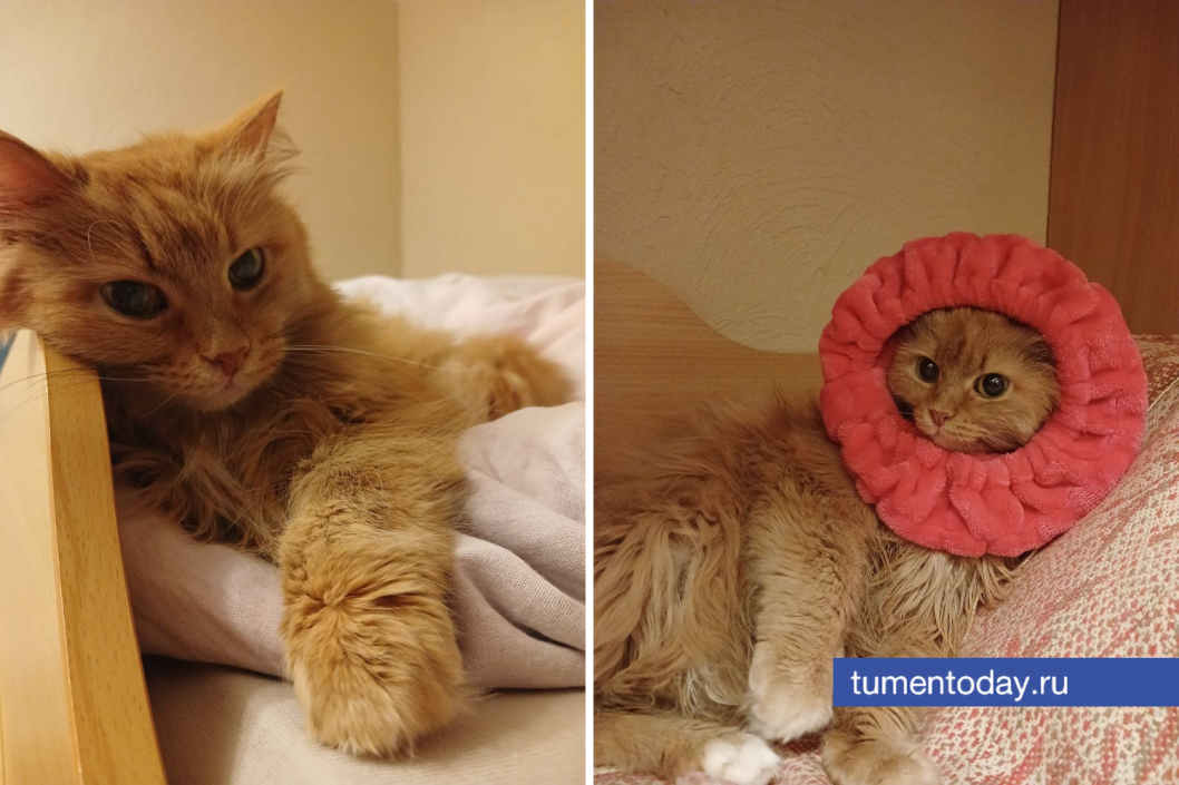 Фото Дарьи Радзивилюк