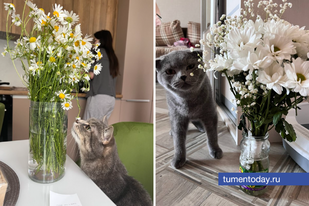 Фото Анастасии Квизикявичус и Юлии Комнатовой