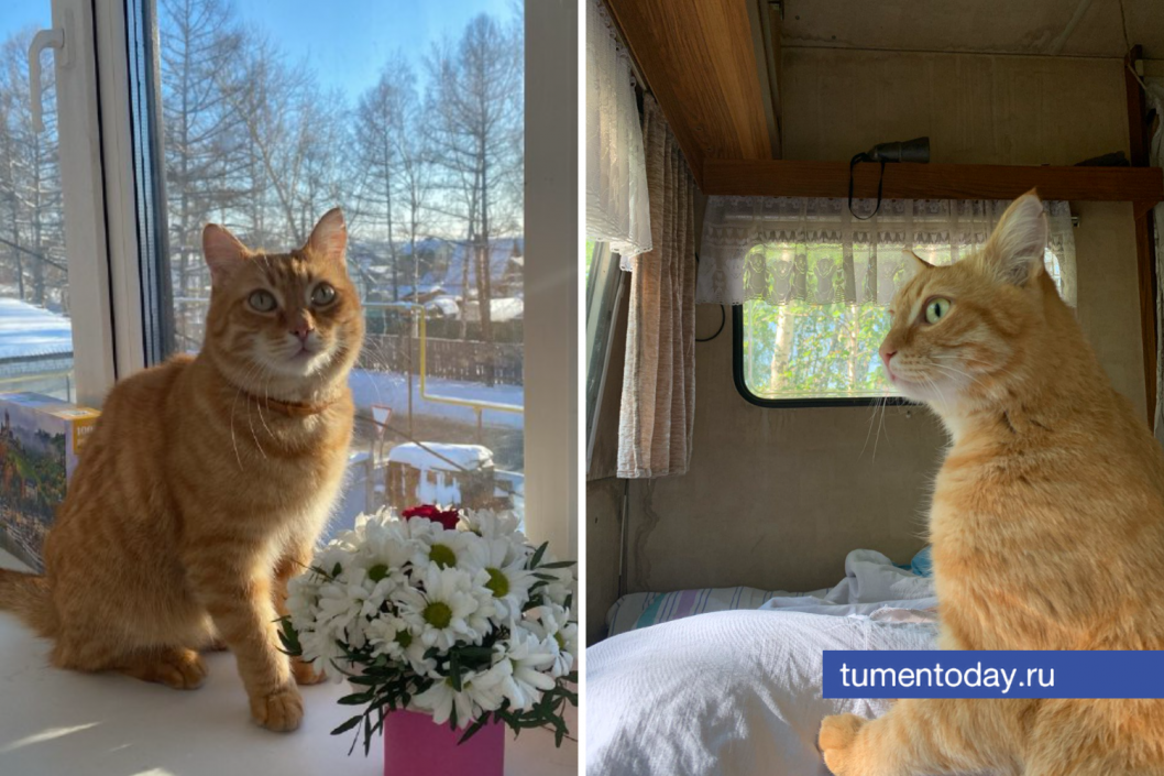 Фото Мадины Титовой