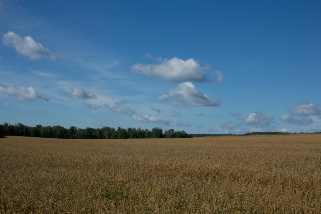 Фото Сергея Куликова