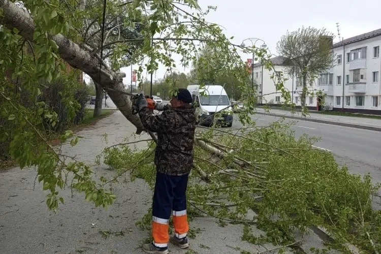 Фото из канала Петра Вагина в МАКС, автор неизвестен