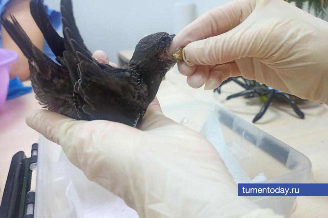 Фото Ирины Тунгусовой