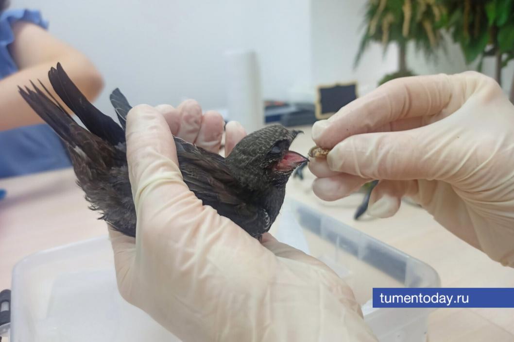 Фото Ирины Тунгусовой