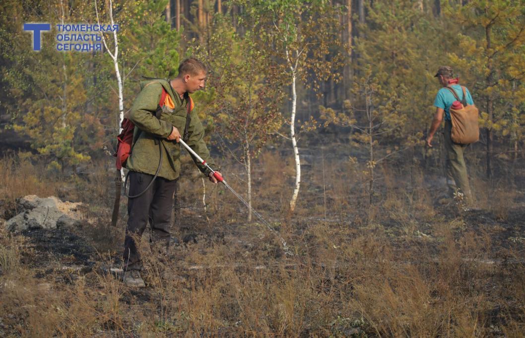 В Тюменской области 6 апреля стартовал пожароопасный сезон
