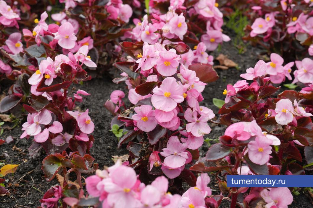 Фото Екатерины Христозовой