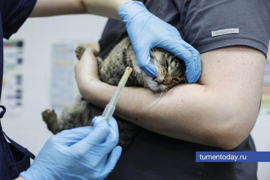 Фото Екатерины Христозовой