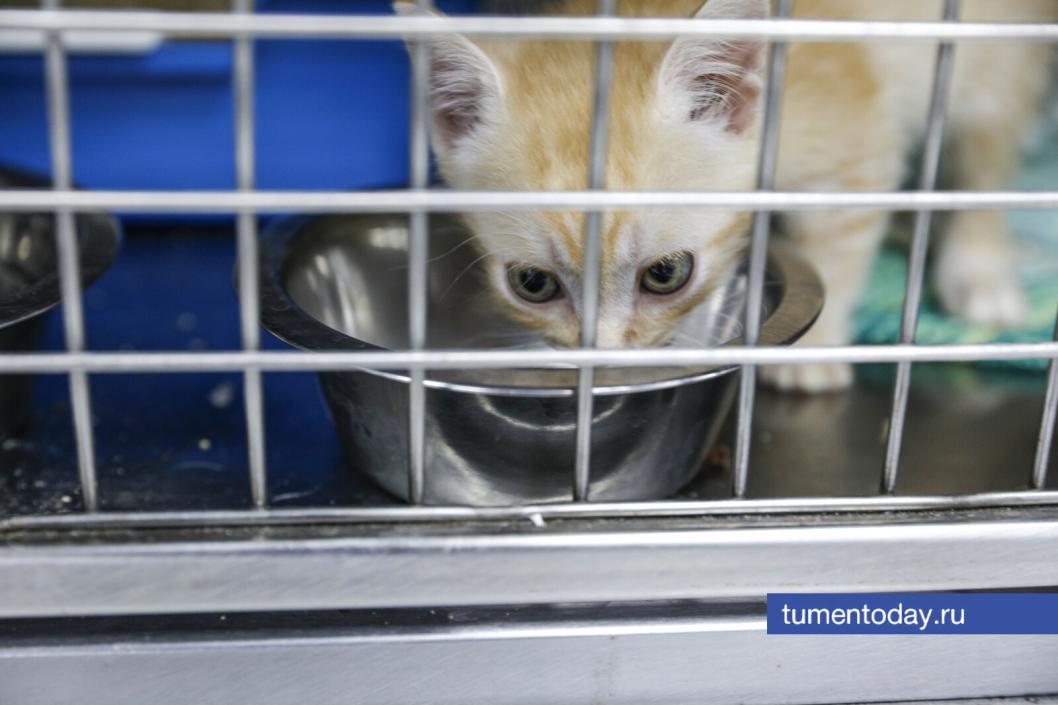 Фото Екатерины Христозовой