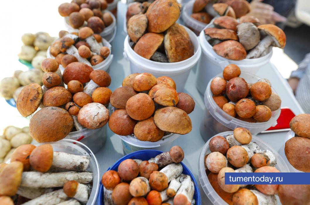 Фото Екатерины Христозовой