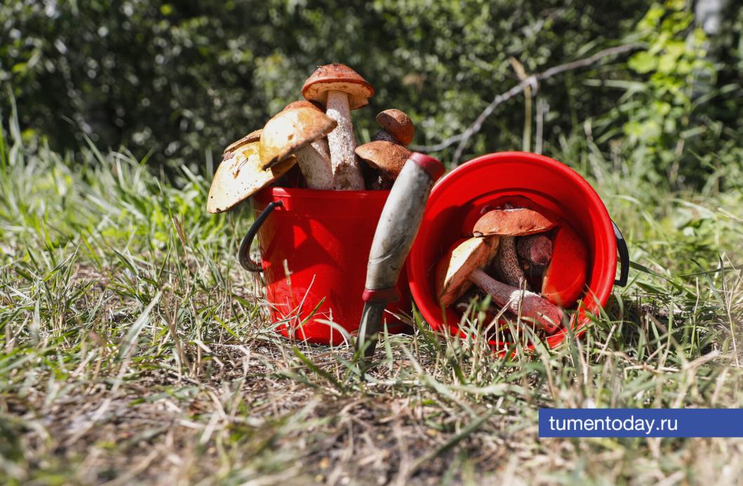 Фото Екатерины Христозовой