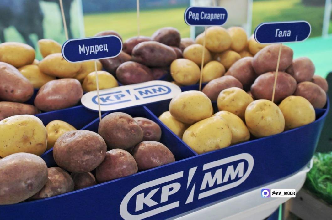 Фото из телеграм-канала Александра Моора