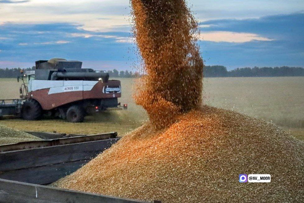 Фото из телеграм-канала Александра Моора