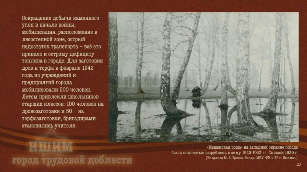 Скриншот слайдов презентации главы города Ишима Федора Шишкина