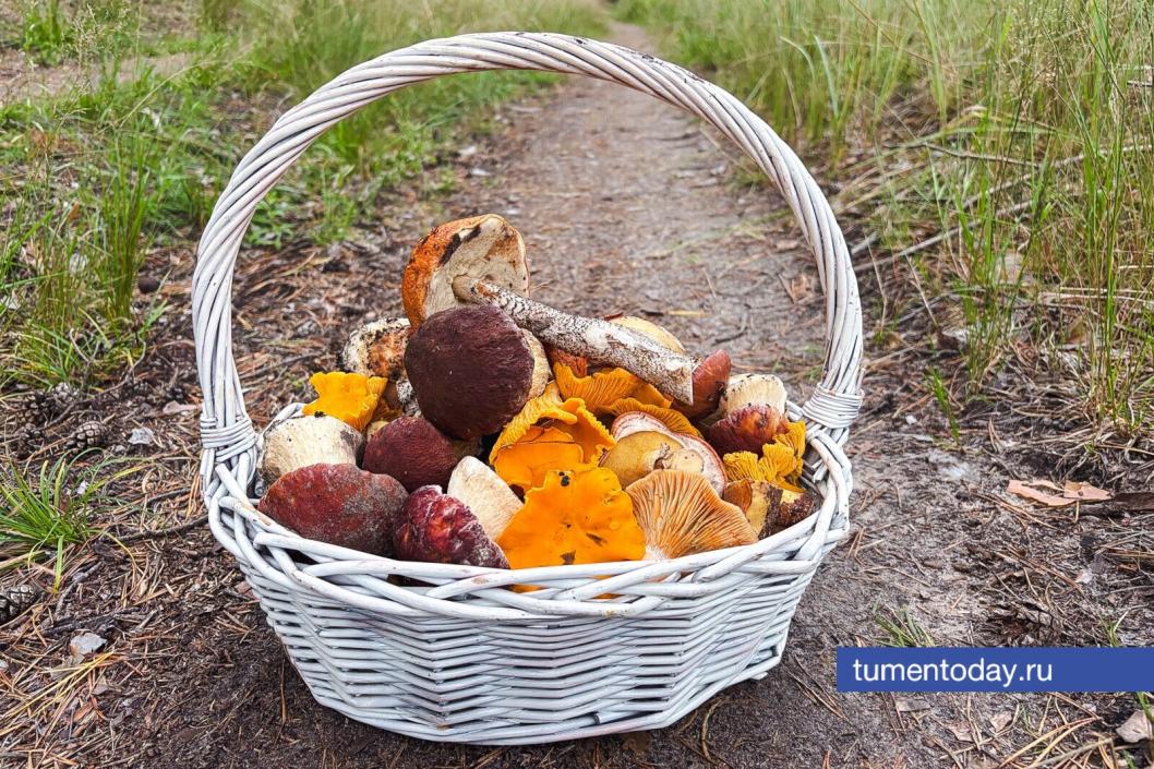 Фото Дениса Моргунова