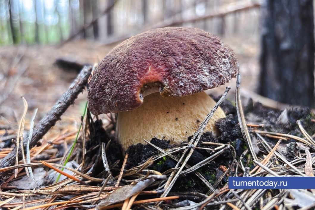 Фото Дениса Моргунова