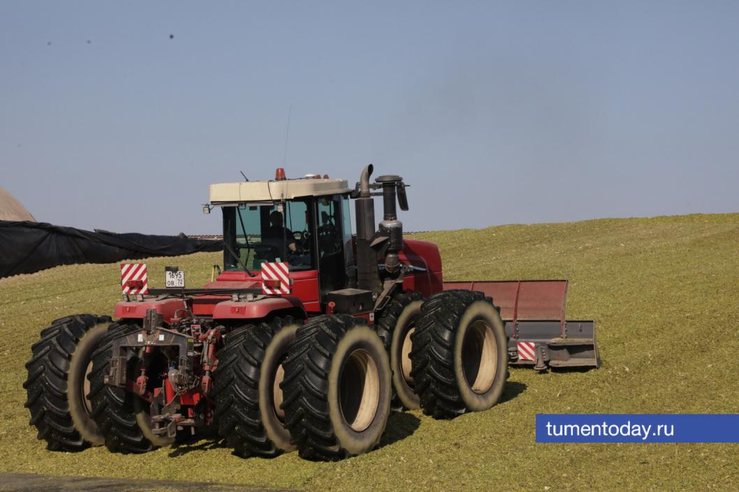 Фото Сергея Куликова