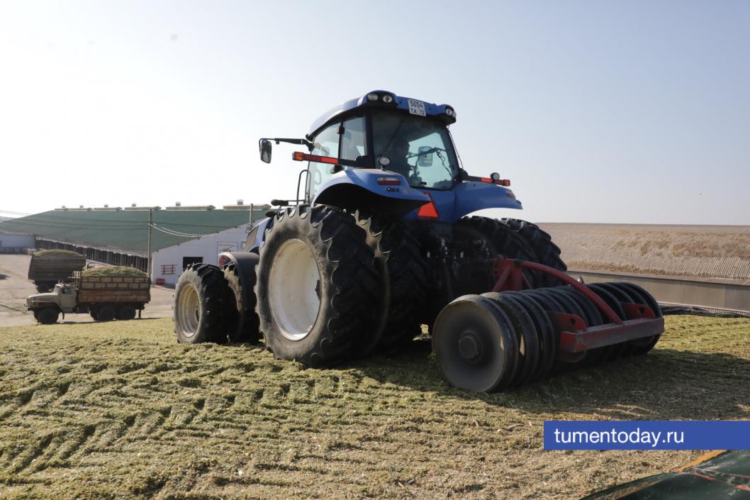 Фото Сергея Куликова