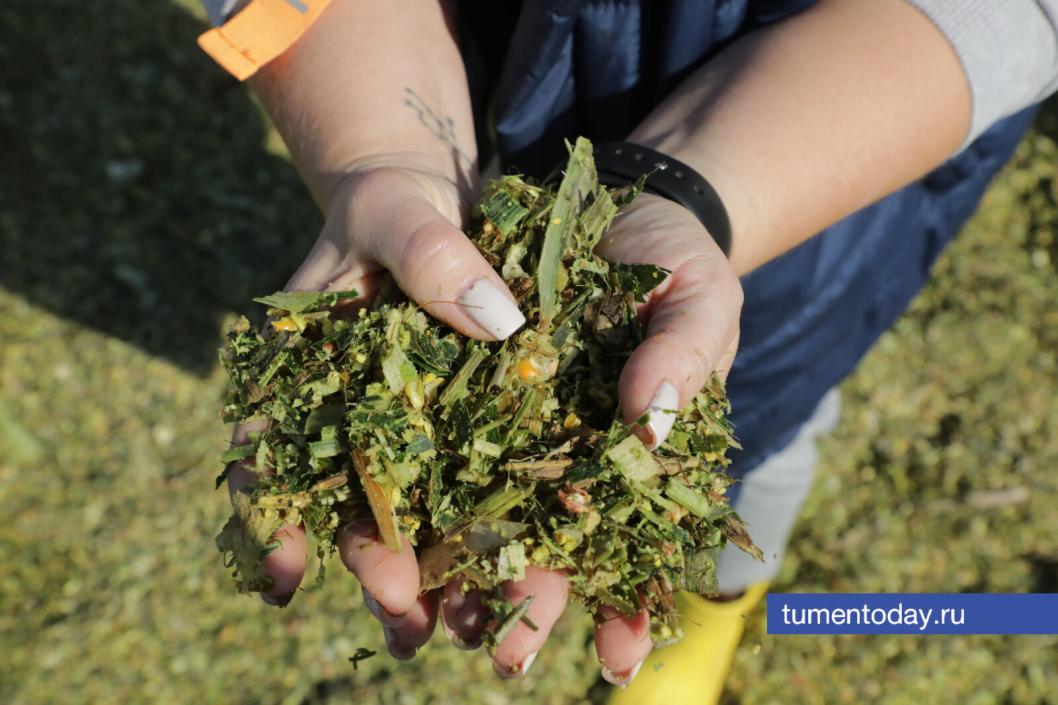 Фото Сергея Куликова