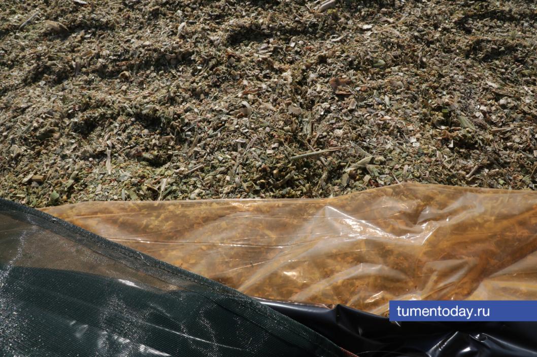 Фото Сергея Куликова