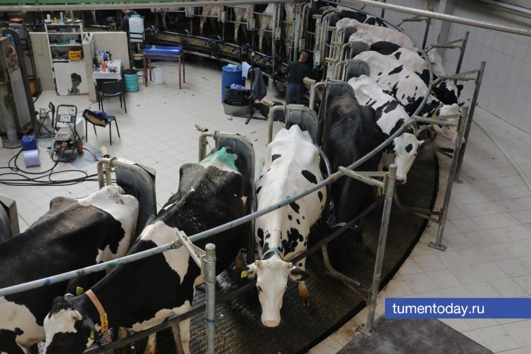 Фото Сергея Куликова