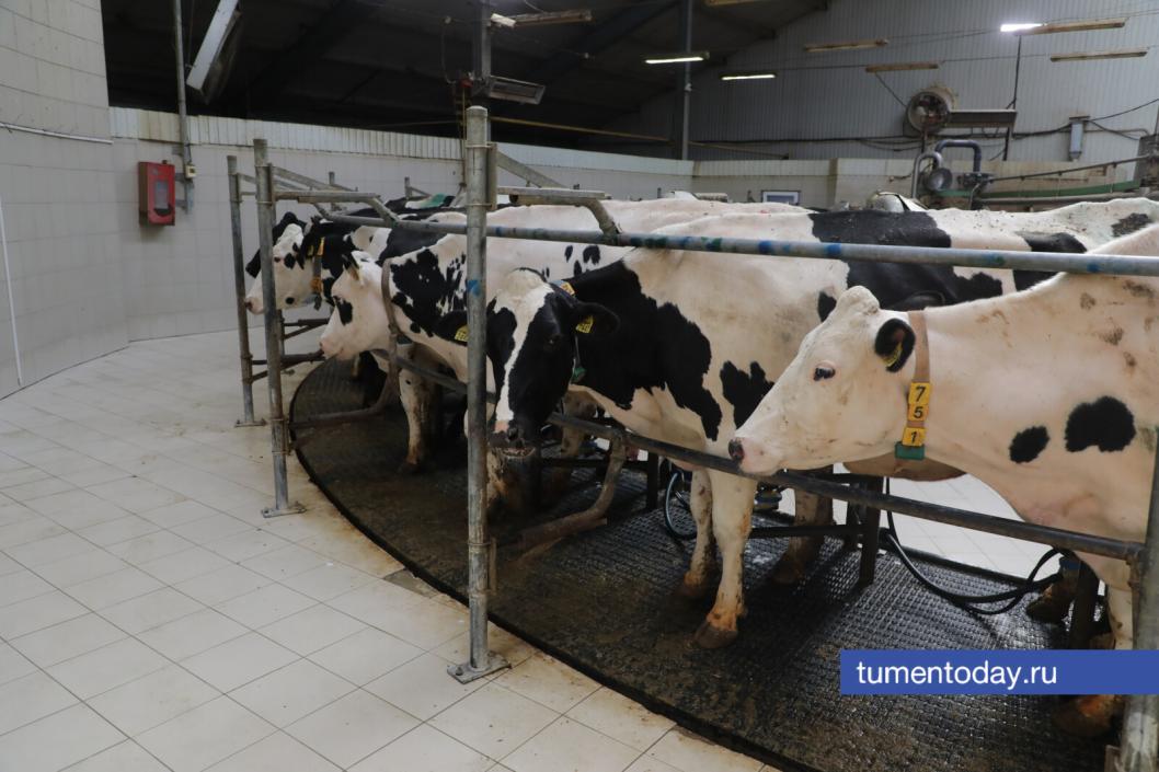 Фото Сергея Куликова