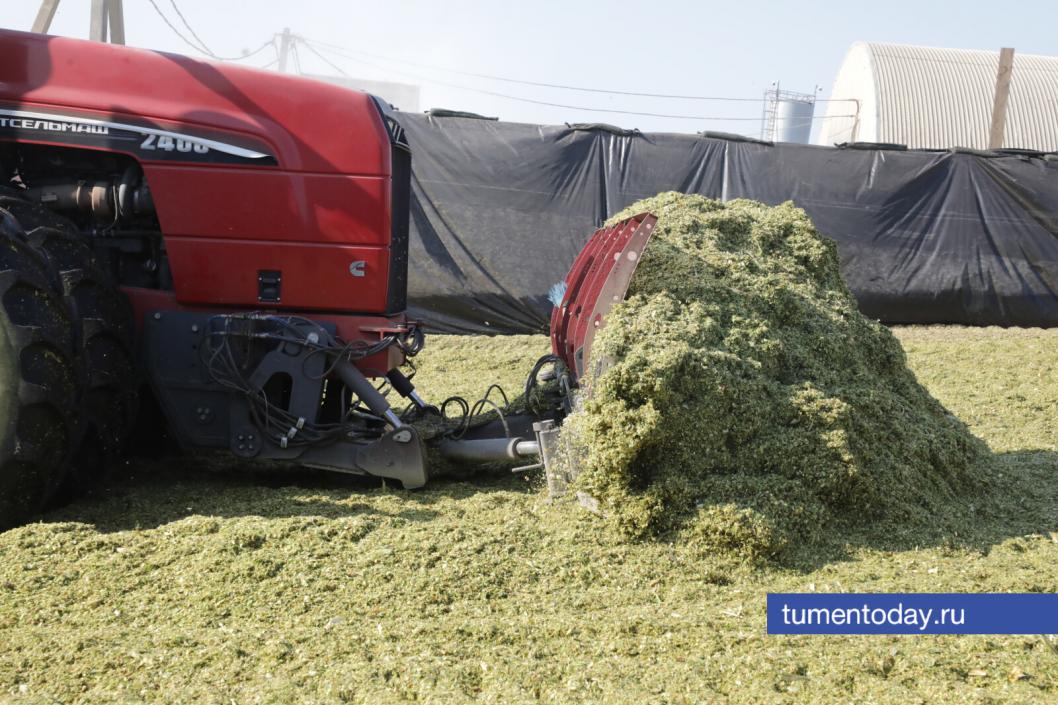 Фото Сергея Куликова