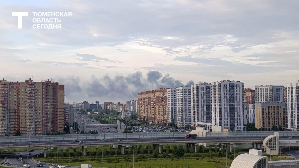 Фото читателя