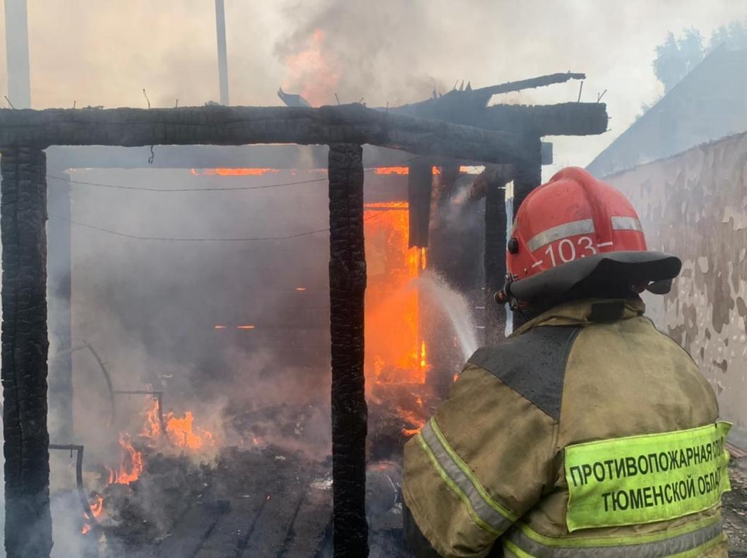 Фото противопожарной службы Тюменской области